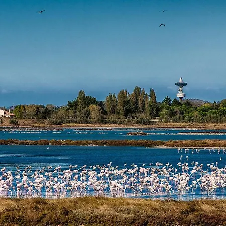 Dom wakacyjny Gloria E01 *